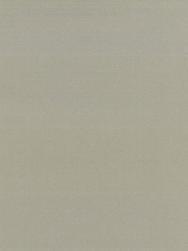 燕尾灰-1